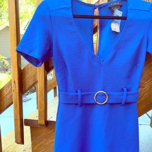 Chic royal blue belted dress